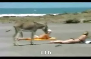 Lussuriosi Tracy video erotico film amore un grosso dildo