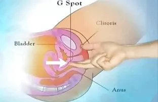 Cagna rossa accarezzato le porno gratis da guardare sue tette